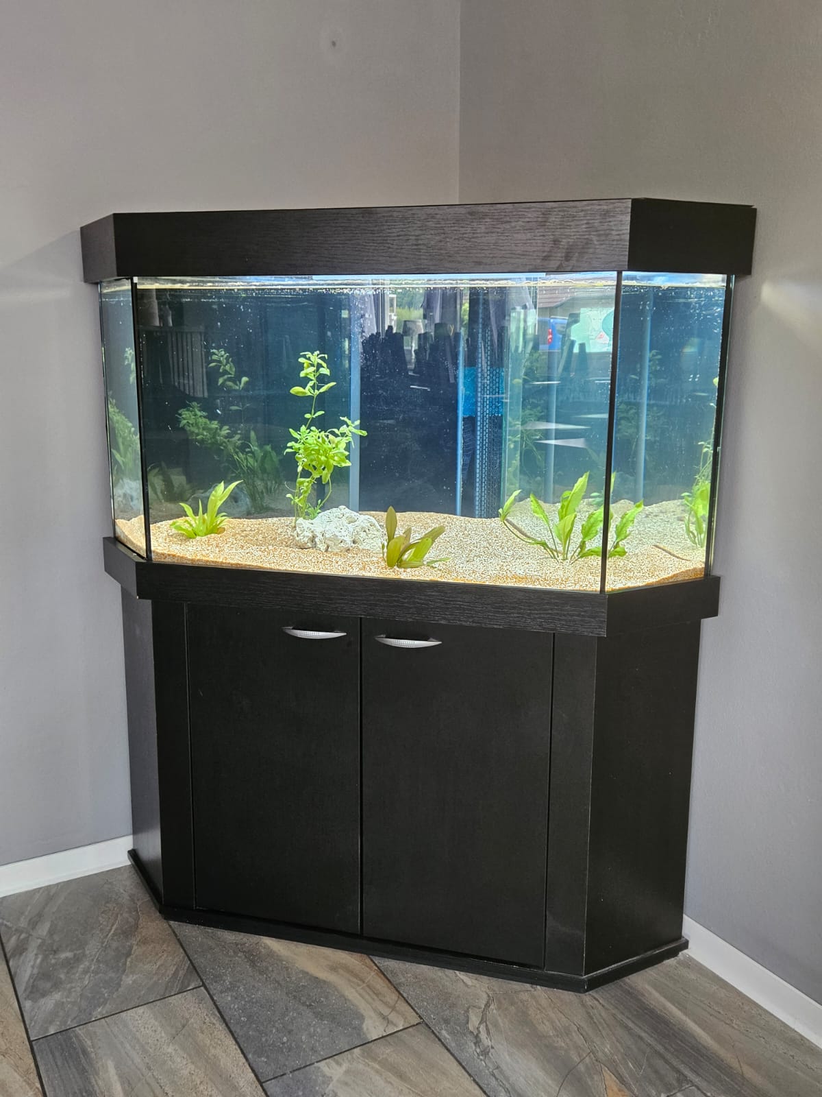 Aquarium im Gastraum der Hexenstube